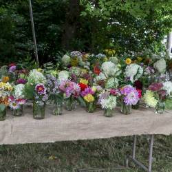 HistVillage-4_original